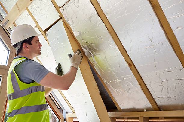 Best Blown-in Insulation in Leisure World, MD